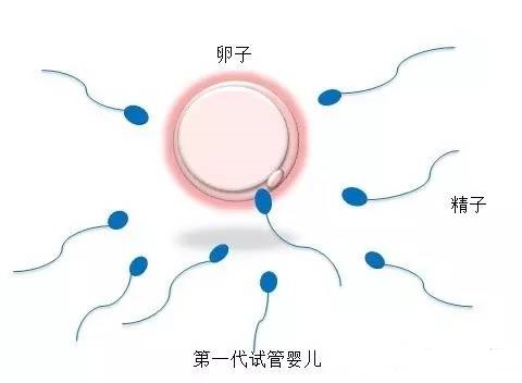 槿棠生殖中心环境